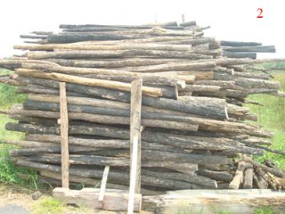 Mekong Wood