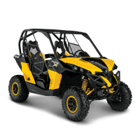 Side by Side Maverick X xc DPS