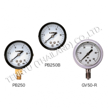 Pressure gauge